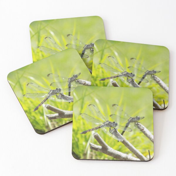 Item preview, Dragonflys designed and sold by opalescent-dreams.
