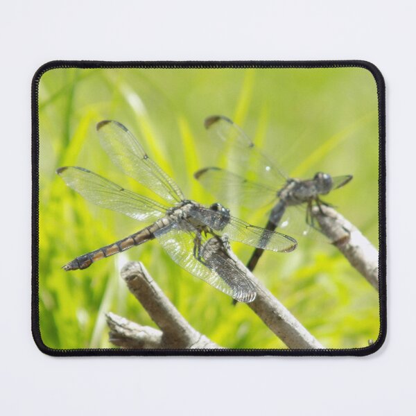 Item preview, Dragonflys designed and sold by opalescent-dreams.