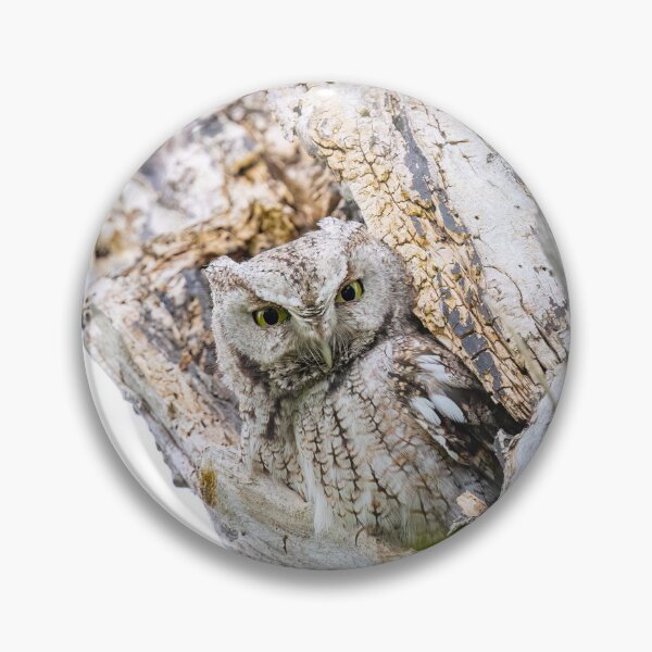 Item preview, Gray Screech Owl Peers from its Roost designed and sold by Shannon Emmel .