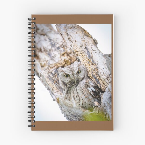Item preview, Gray Screech Owl Peers from its Roost designed and sold by Shannon Emmel .