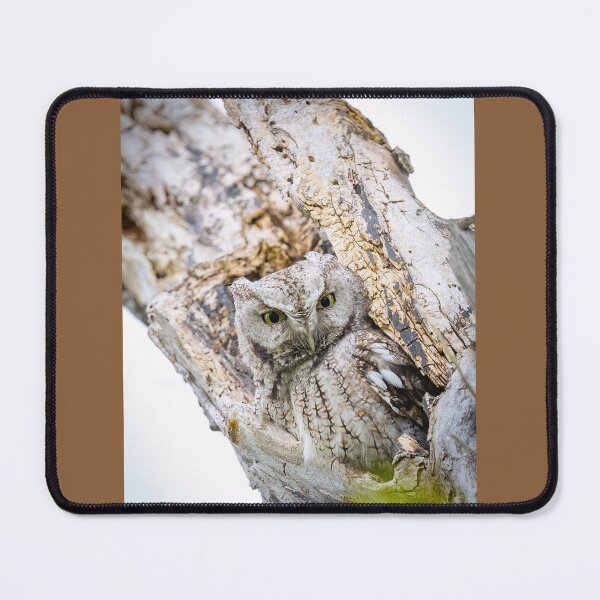 Item preview, Gray Screech Owl Peers from its Roost designed and sold by Shannon Emmel .