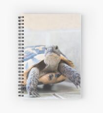 Tortoise Spiral Notebook