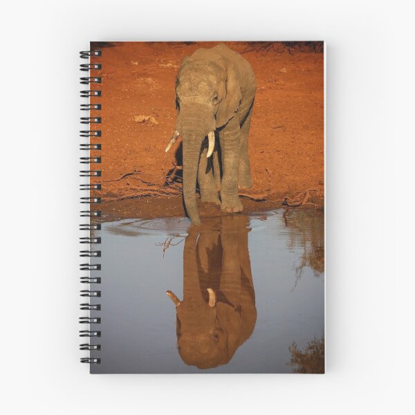 Aperçu de l'œuvre Reflet de l'éléphant créée et vendue par RootsofVanadis.