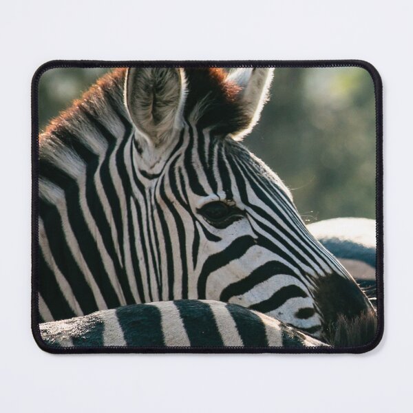 Artikelvorschau, Zebra entworfen und verkauft von RootsofVanadis.