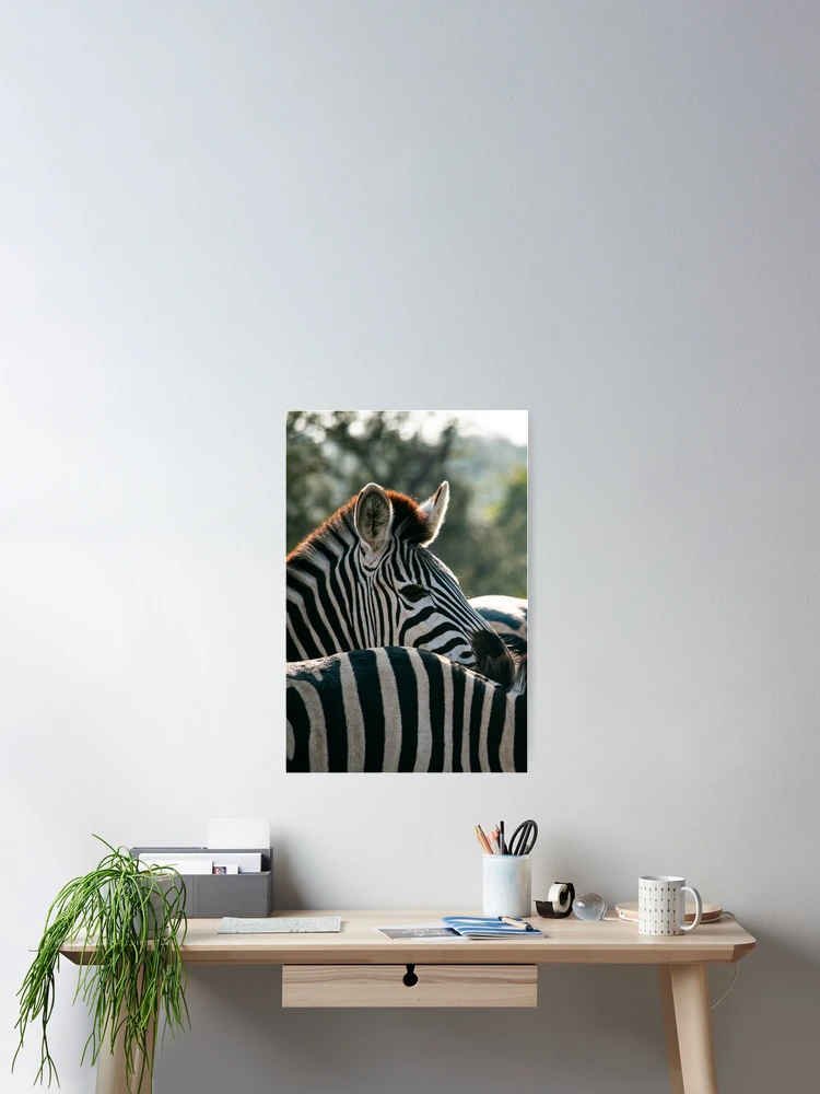 Thumbnail 2 of 3, Poster, Zebra designed and sold by RootsofVanadis.