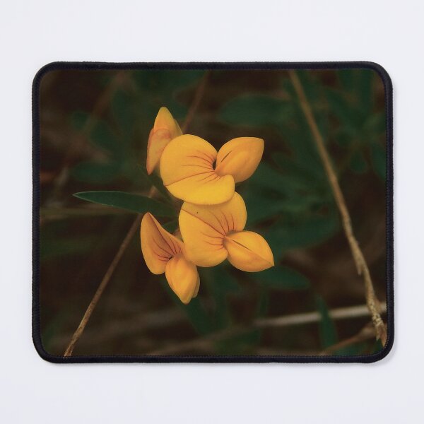 Item preview, Roadside Birdsfoot Trefoil designed and sold by gistinker.