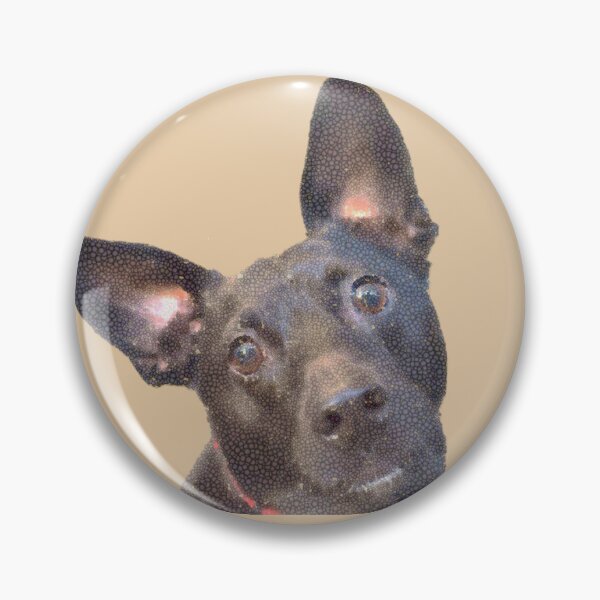 Item preview, "Go for a Ride?" Twig  designed and sold by shelley momany.