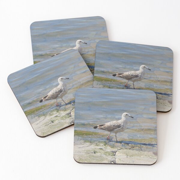 Item preview, Seagull Walking on Clear River ♥️ designed and sold by Veritas12photos.