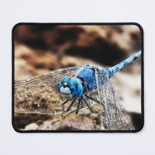 Item preview, Blue dragonfly designed and sold by KNBS.