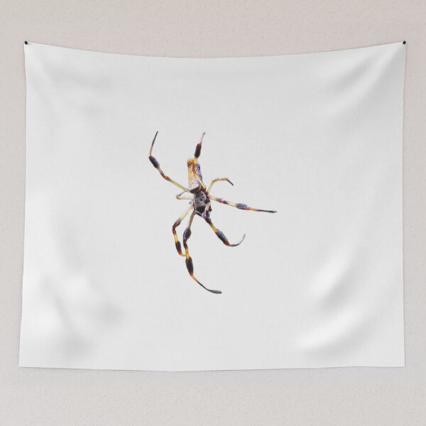 Item preview, Spider designed and sold by opalescent-dreams.