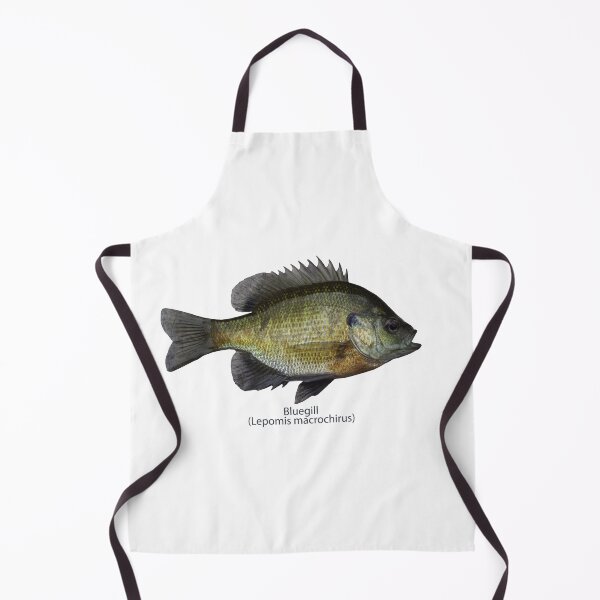 Item preview, Bluegill 8-22-2025 designed and sold by Thomasyoung.