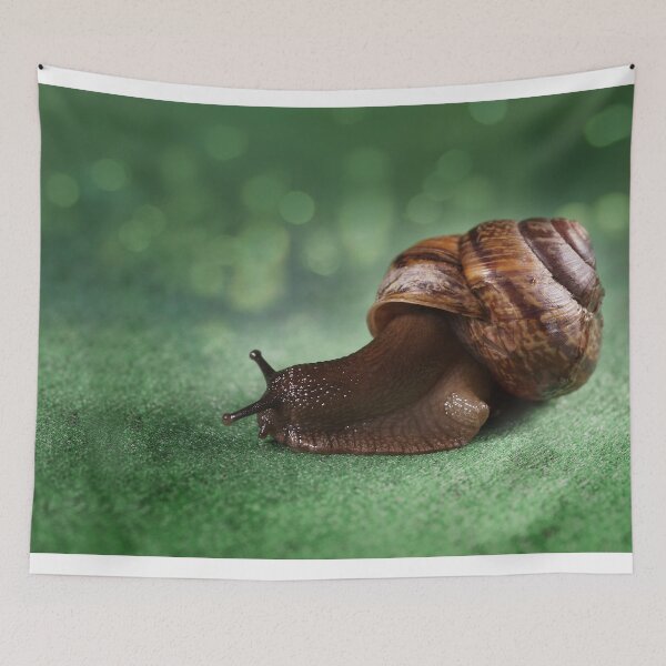 Item preview, Garden snail on a green leaf designed and sold by bonidog.