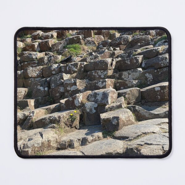 Item preview, Corvid Friend on Giant’s Causeway  designed and sold by WhispFeathers.