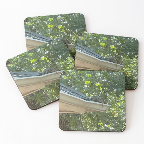 Item preview, Humid Day Means Chilling on the Roof designed and sold by WhispFeathers.