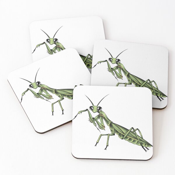 Item preview, the cutest mantis designed and sold by JayBugArt.