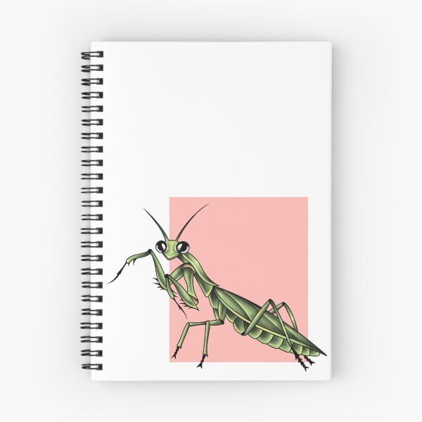 Item preview, the cutest mantis designed and sold by JayBugArt.