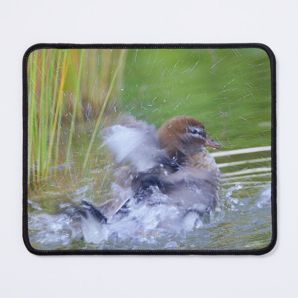 Item preview, Duck unfrozen with motion blur; freezing droplets designed and sold by PixSL Photography and Photo Art.