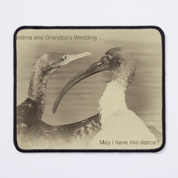 Item preview, May I have this dance! Vintage wedding card designed and sold by PixSL Photography and Photo Art.