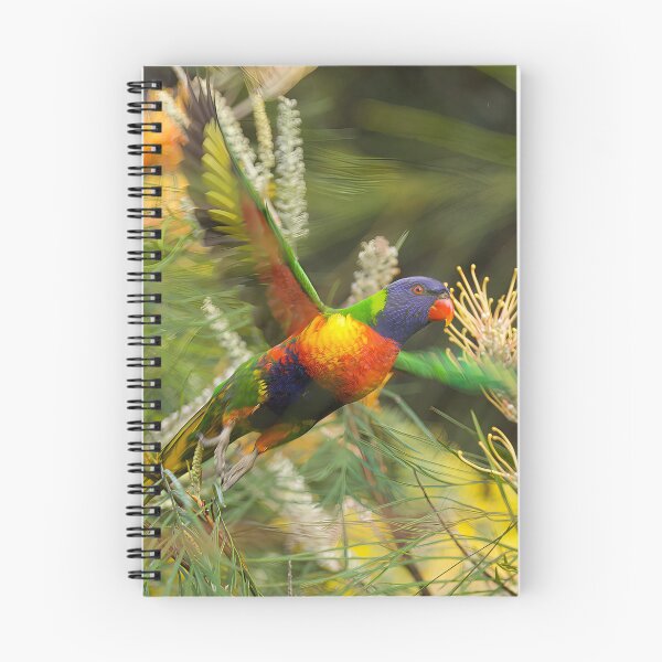 Item preview, Rainbow lorikeet flying past me, in perfect harmony with its surroundings designed and sold by PixSL Photography and Photo Art.