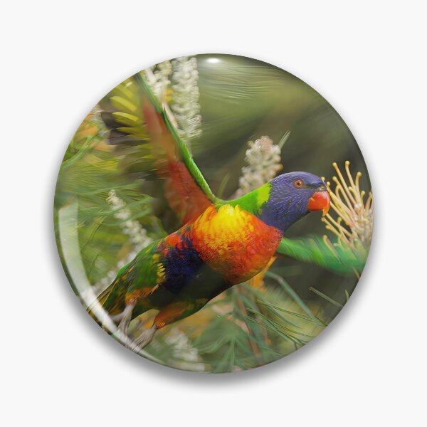 Item preview, Rainbow lorikeet flying past me, in perfect harmony with its surroundings designed and sold by PixSL Photography and Photo Art.