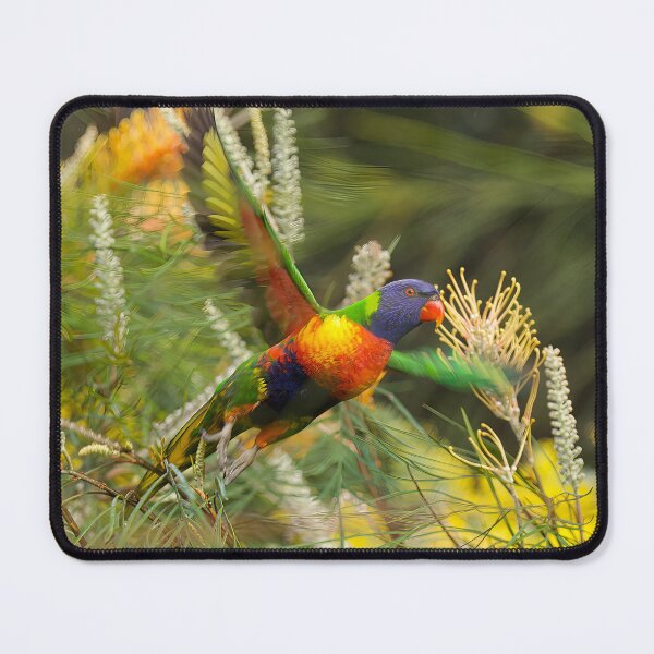 Item preview, Rainbow lorikeet flying past me, in perfect harmony with its surroundings designed and sold by PixSL Photography and Photo Art.