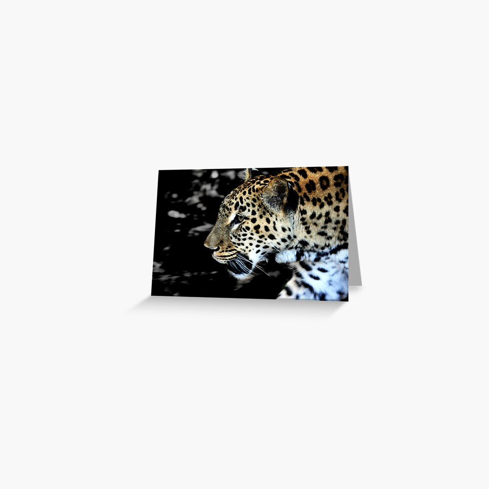 Persian Leopard Greeting Card