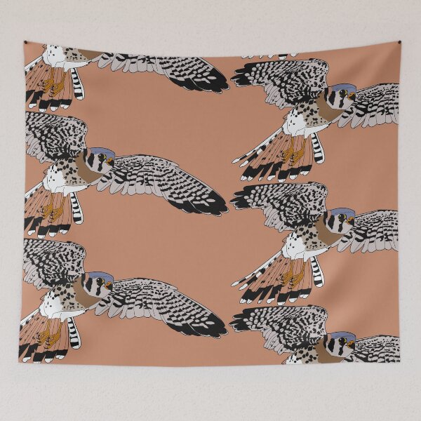 Aperçu de l'œuvre American Kestrel créée et vendue par Procyonidae Creative.