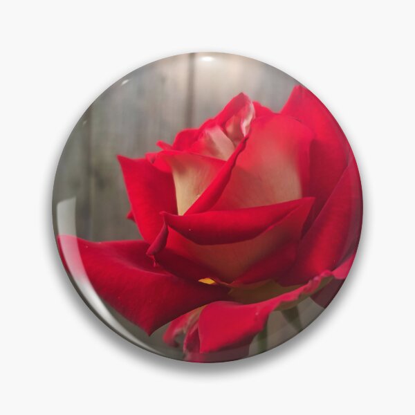 Item preview, A Single Rose designed and sold by The Blue Shop.