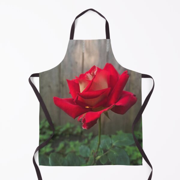 Item preview, A Single Rose designed and sold by The Blue Shop.
