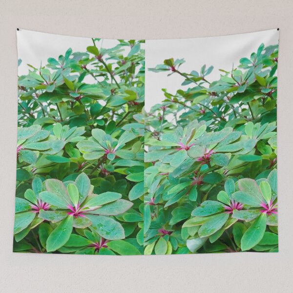 Item preview, Symphony of Green designed and sold by SheFriendly143.