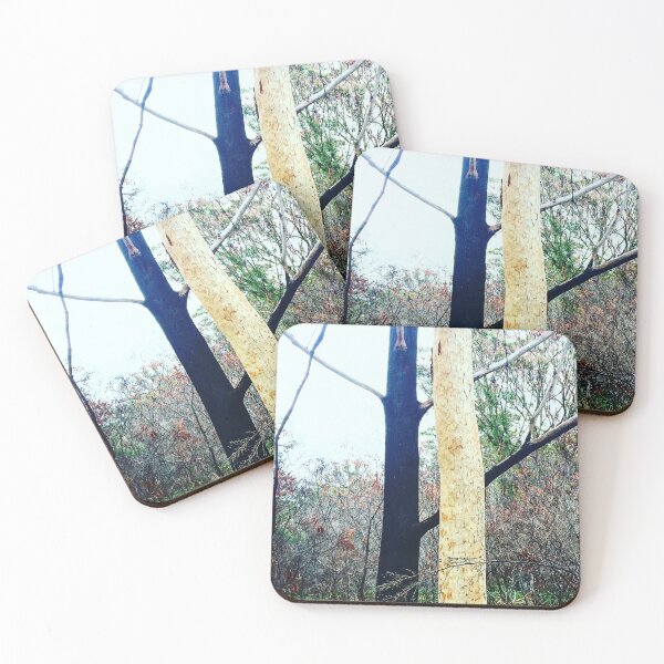 Item preview, Australia - Ying &Yang - After the Fires designed and sold by JustYourTypeAus.