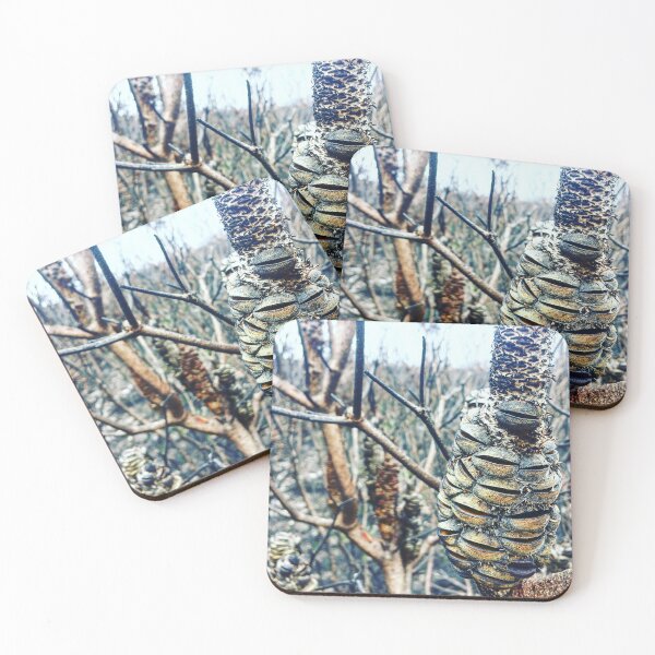 Item preview, Australia - Bush fires - Wattle burn designed and sold by JustYourTypeAus.