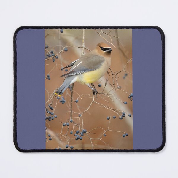 Item preview, Cedar Waxwing Surrounded by Berries designed and sold by Shannon Emmel .
