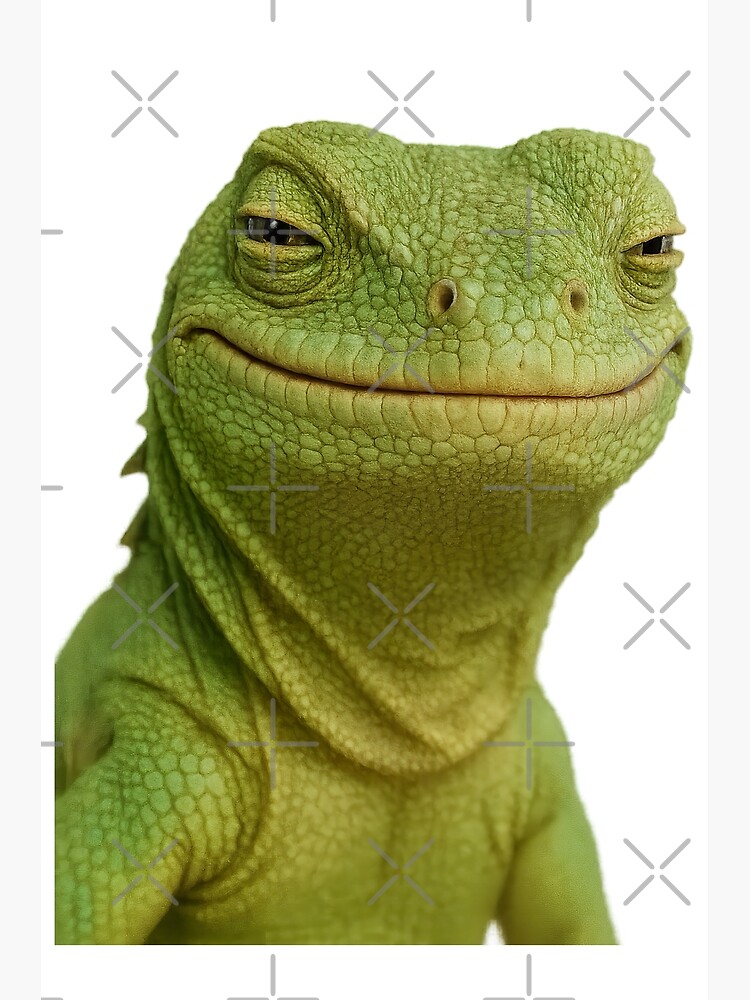Lizard Meme, Lizard Poster