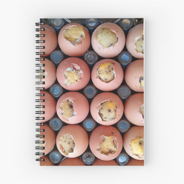 Item preview, Balut Eggs Street Food Market Phnom Penh Cambodia designed and sold by Kevin Miller Photography.