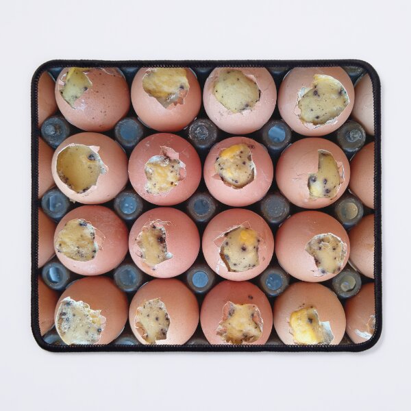 Item preview, Balut Eggs Street Food Market Phnom Penh Cambodia designed and sold by Kevin Miller Photography.