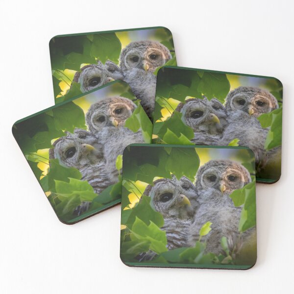 Item preview, Barred owl Mama and Owlet designed and sold by Shannon Emmel .