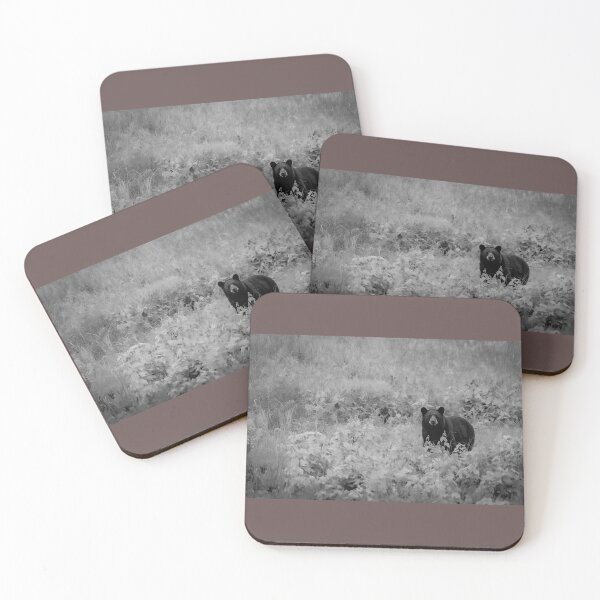 Item preview, Black Bear in B&W designed and sold by Shannon Emmel .