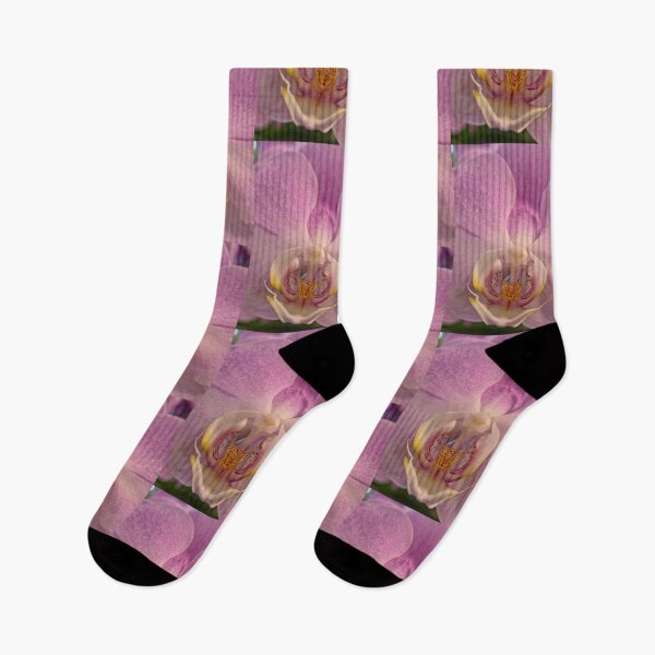 Item preview, ​Delicate Pink Moth Orchid designed and sold by Betsy Phillips.