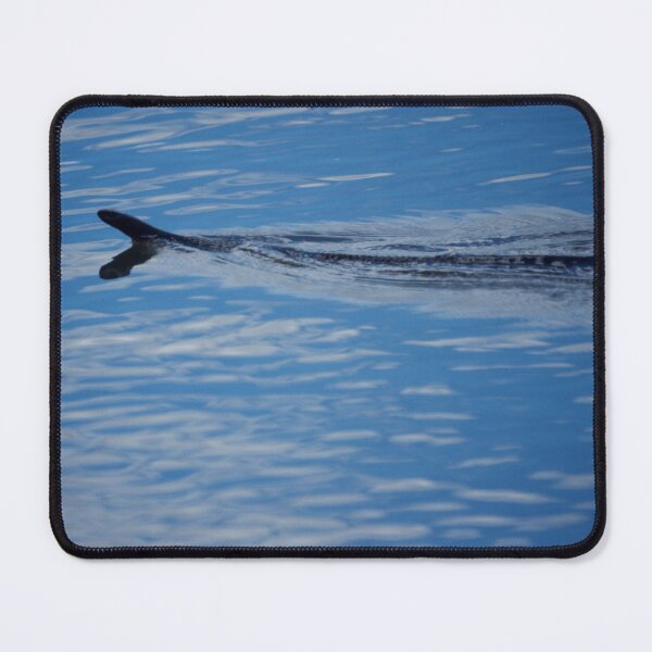 Item preview, Swimming Red Belly Black designed and sold by D-GaP.