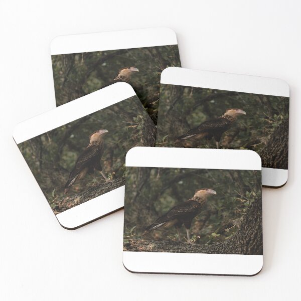 Item preview, Caracara  designed and sold by ceclark10.