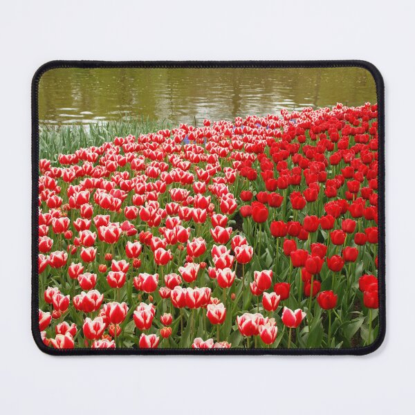 Item preview, Keukenhof designed and sold by Lindie Allen.