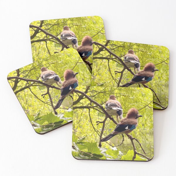 Item preview, Hey Punk! Jays in St James’s Park, London designed and sold by The Running London Photographer.