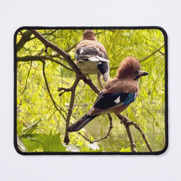 Item preview, Hey Punk! Jays in St James’s Park, London designed and sold by The Running London Photographer.