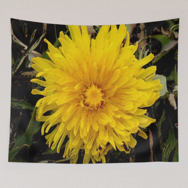 Item preview, DANDELIONS FOR FOOD, DRINK & MEDICINES designed and sold by sharlesart.
