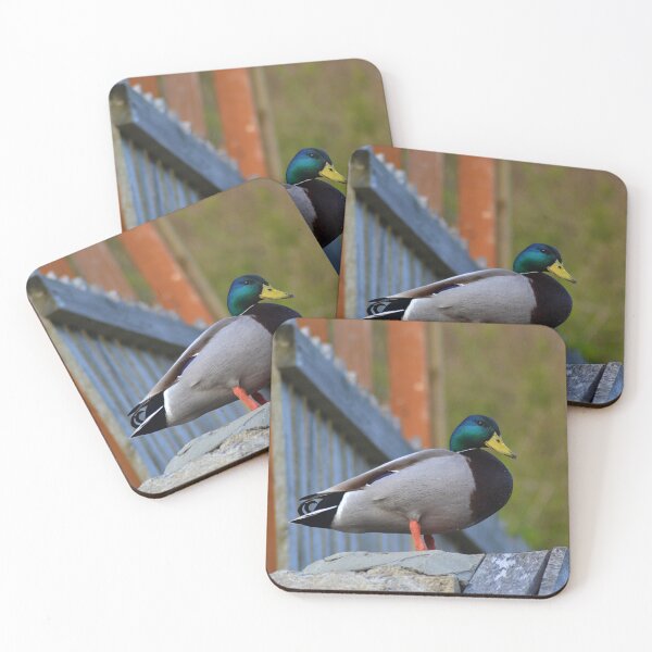 Item preview, Mallard Duck designed and sold by NatnoDesigns.