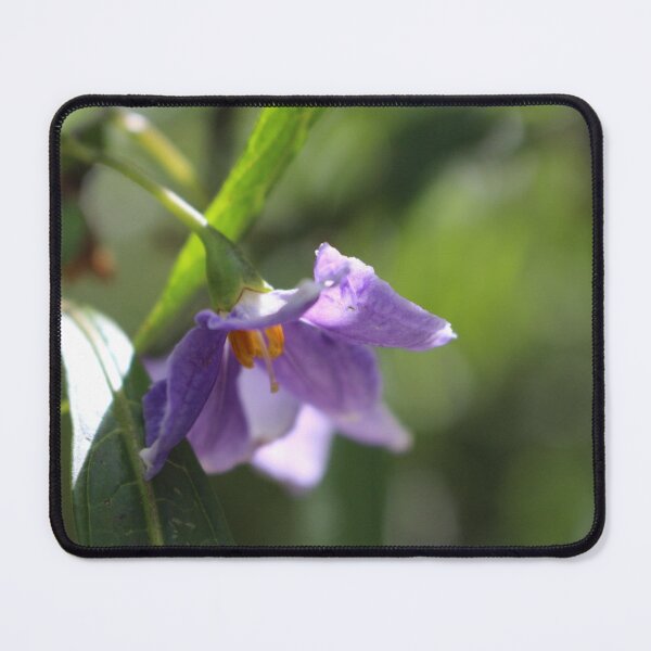 Item preview, Kangaroo Apple designed and sold by Captured-Adventures11.