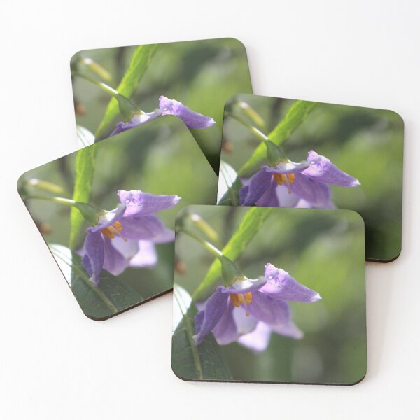 Item preview, Kangaroo Apple designed and sold by Captured-Adventures11.