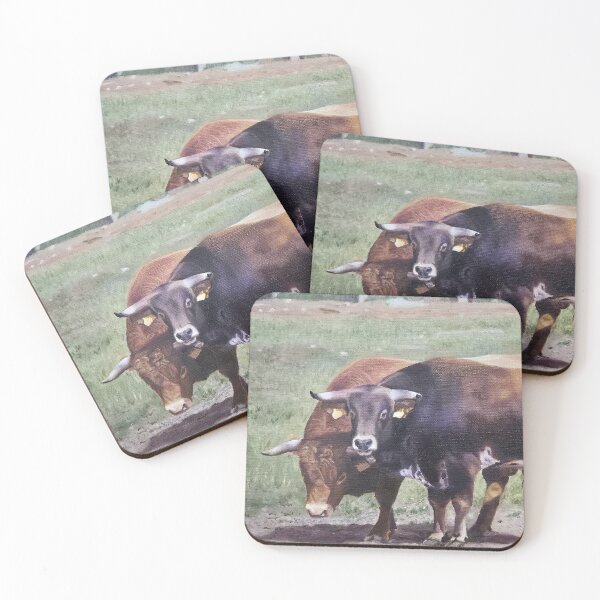 Item preview, Bulls on a field designed and sold by LouiseRossArt.