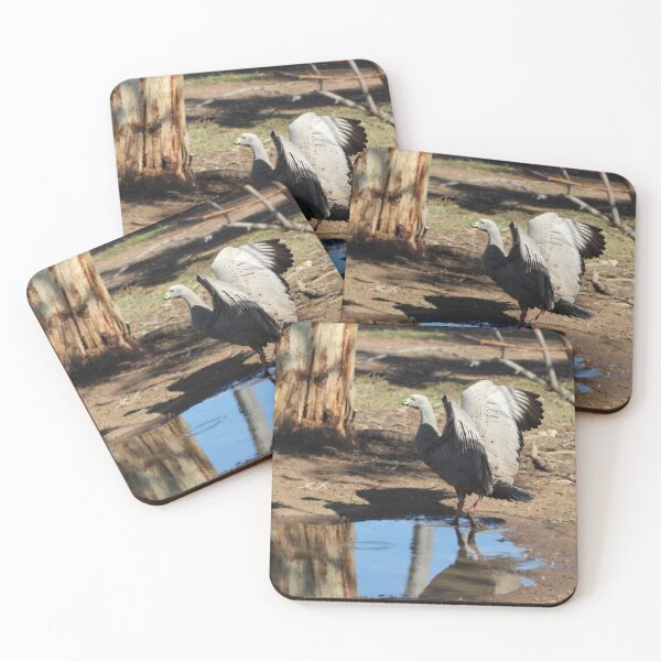Item preview, Cape Barren Goose designed and sold by Captured-Adventures11.